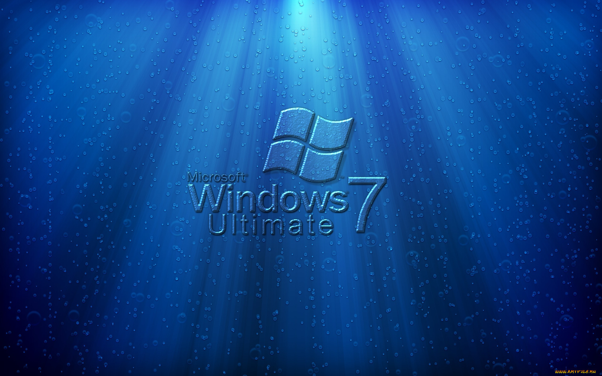 , windows, vienna, , 